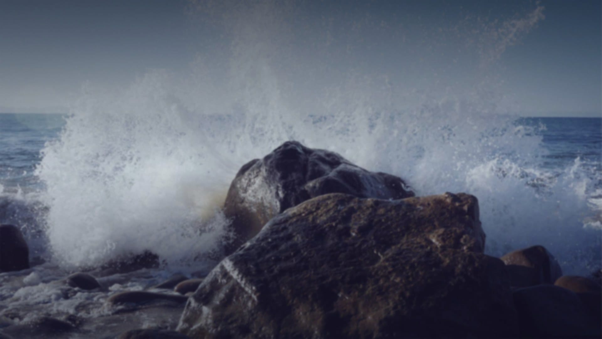 Micro-fulfillment centers finally became the default